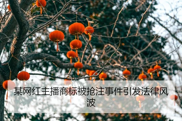 mou-wang-hong-zhu-bo-shang-biao-bei-qiang-zhu-shi-jian-yin-fa-fa-lv-feng-bo-2-600.jpg